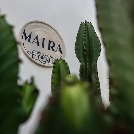 Maira With Seaview And Private Swimming Pool Villa